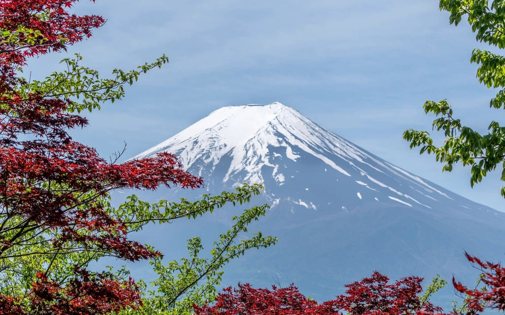 Study in Japan — Complete Guide 2026